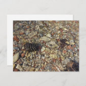 テイラークリークの小石自然写真 (正面/裏面)