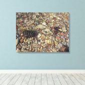 テイラークリークの小石自然写真 キャンバスプリント (インサイチュ (ウッドフロア))