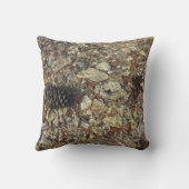 テイラークリークの小石自然写真 クッション (裏面)