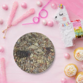 テイラークリークの小石自然写真 ペーパープレート (パーティー)