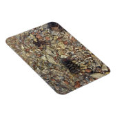 テイラークリークの小石自然写真 マグネット (右側)