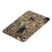 テイラークリークの小石自然写真 マグネット (左側)