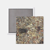 テイラークリークの小石自然写真 マグネット (正面/裏面)