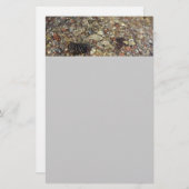 テイラークリークの小石自然写真 便箋 (正面/裏面)