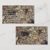 テイラークリークの小石自然写真 名刺 (正面/裏面)