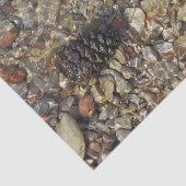 テイラークリークの小石自然写真 薄葉紙 (詳細)