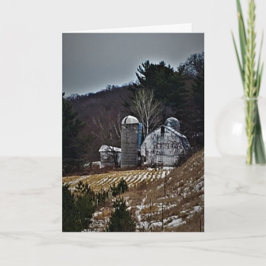 「テイラーズファーム」クリスマスカード カード (正面)