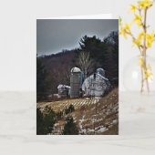 「テイラーズファーム」クリスマスカード カード (黄色い花)