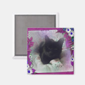 テイラー冷凍機マグネット マグネット (正面/裏面)