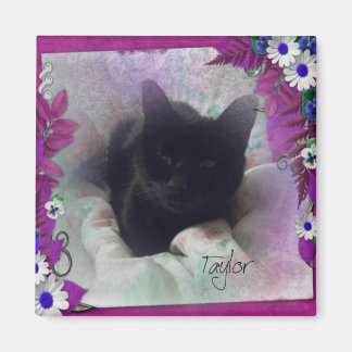 テイラー冷凍機マグネット マグネット