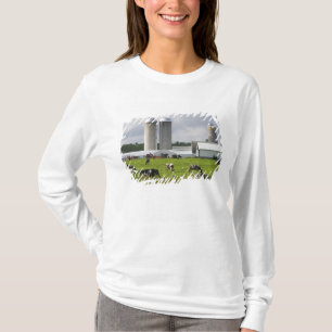 テイラー郡近くの酪農牛と農場 Tシャツ