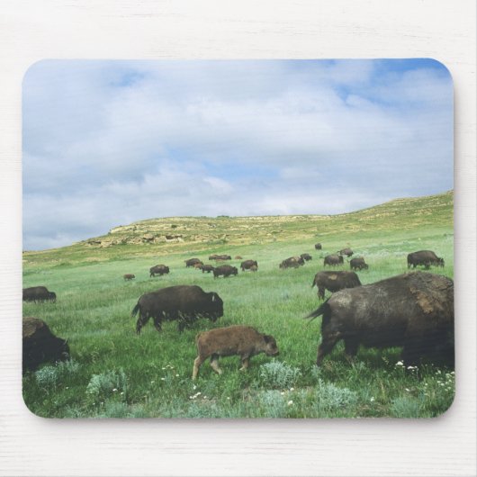 テオドールのバイソンの群れ草原の草 マウスパッド (正面)