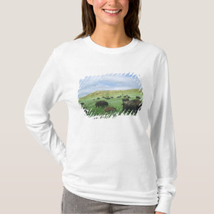 テオドールの草原でバイソンが草を食べる Tシャツ