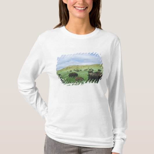 テオドールの草原でバイソンが草を食べる Tシャツ (正面)