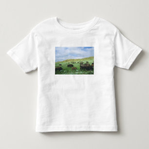 テオドールの草原の草を食べるバイソンの群れ トドラーTシャツ