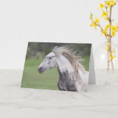 テオド走ア：Galloping to Freedomグリーティングカード カード (黄色い花)