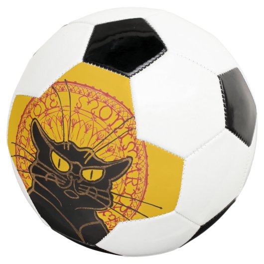 テオペレスティインレン – Leチャットノワールヴィンテージ サッカーボール (3/4)