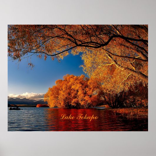 テカポ湖（ニュージーランド） ポスター (正面)