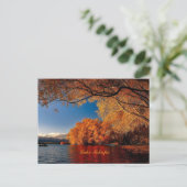 テカポ湖（ニュージーランド） ポストカード (スタンド正面)