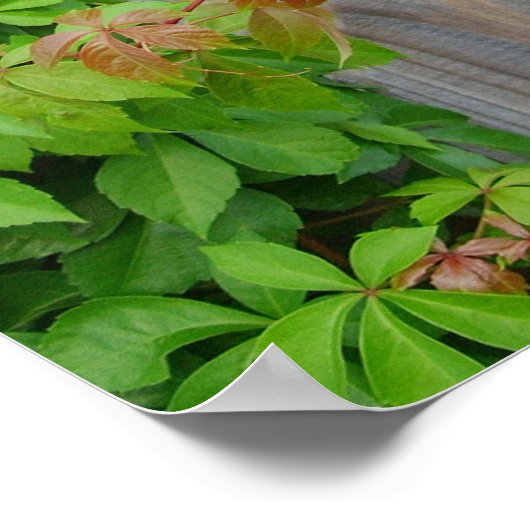 テカンセ主任生きろ ポスター (角)