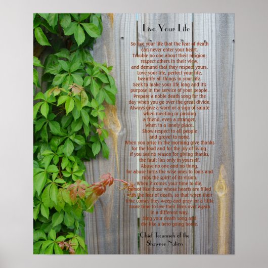 テカンセ主任生きろ ポスター (正面)