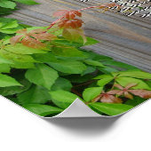 テカンセ主任生きろ ポスター (角)