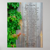 テカンセ主任生きろ ポスター (正面)