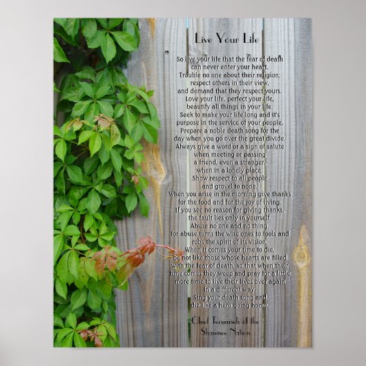 テカンセ主任生きろ ポスター (正面)