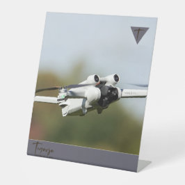 テガルヤ 台座サイン