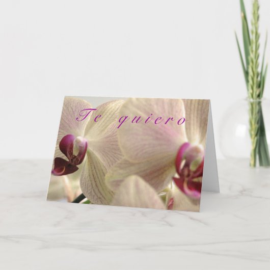 「テキエロ」 シーズンカード (正面)