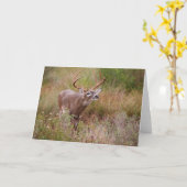 テキサスの秋とオジロシカ カード (黄色い花)