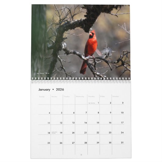 テキサスの自然な美しい2011年 カレンダー (1月 2026)