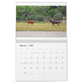 テキサスの自然な美しい2011年 カレンダー (2月 2027)