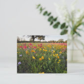 テキサスの路傍の野生の花 春 ポストカード (スタンド正面)