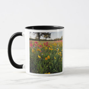 テキサスの路傍の野生の花 春 マグカップ