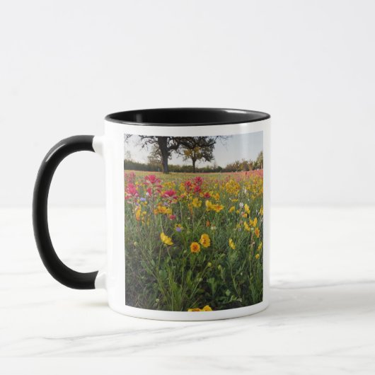 テキサスの路傍の野生の花 春 マグカップ (左)