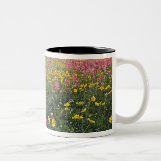テキサスの道端の野花、春 ツートーンマグカップ (右)
