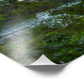 テキサス州こうもり フォトプリント            (角)