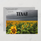 テキサス州のひまわりの畑で嵐が吹き荒れる ポストカード (正面/裏面)
