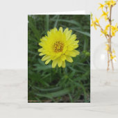 テキサス州のタンポポNotecards (中ブランク) カード (黄色い花)
