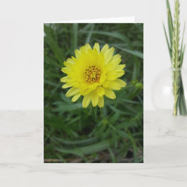 テキサス州のタンポポNotecards (中ブランク) カード