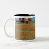 テキサス州のテキサス州の丘の国、テキサス州ペイントブラシ ツートーンマグカップ (左)