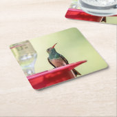 テキサス州のハチドリ スクエアペーパーコースター (アングル)