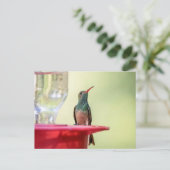 テキサス州のハチドリ ポストカード (スタンド正面)