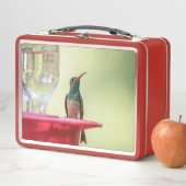 テキサス州のハチドリ メタルランチボックス (インサイチュ)