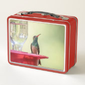 テキサス州のハチドリ メタルランチボックス (裏面)