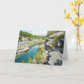 テキサス州の丘の国 カード (黄色い花)