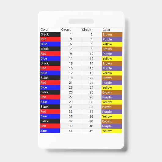 テキサス州の位相色のクレジットカードサイズ バッジ (正面)