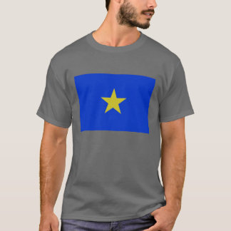 テキサス州の共和国 Tシャツ