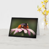 "テキサス州の夏期! " カード (黄色い花)